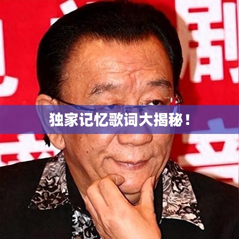 独家记忆歌词大揭秘！