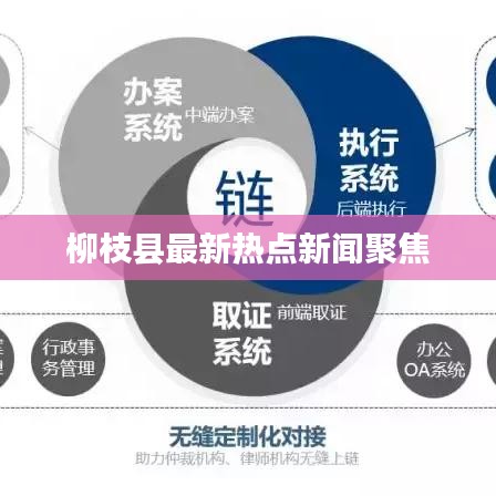 柳枝县最新热点新闻聚焦