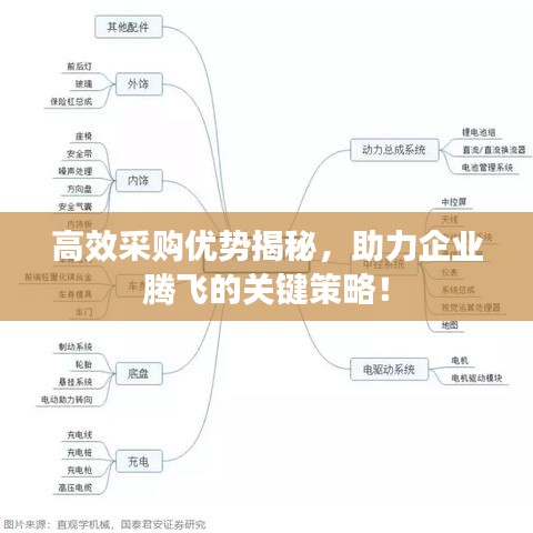 高效采购优势揭秘，助力企业腾飞的关键策略！