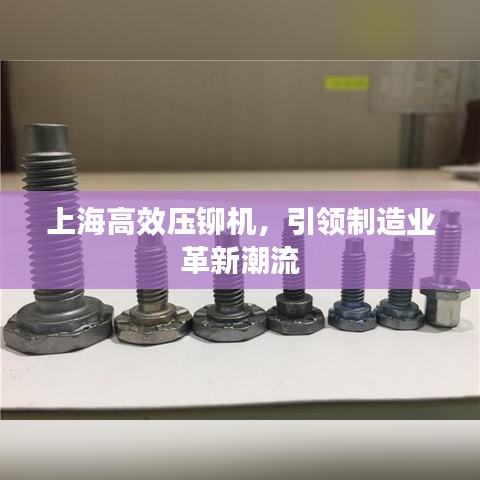 上海高效压铆机，引领制造业革新潮流