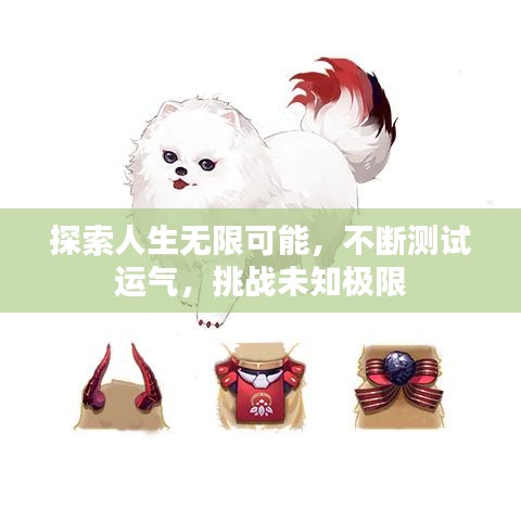 探索人生无限可能，不断测试运气，挑战未知极限