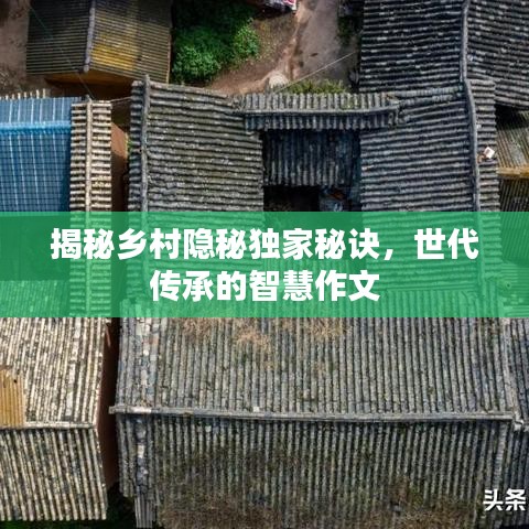 揭秘乡村隐秘独家秘诀，世代传承的智慧作文