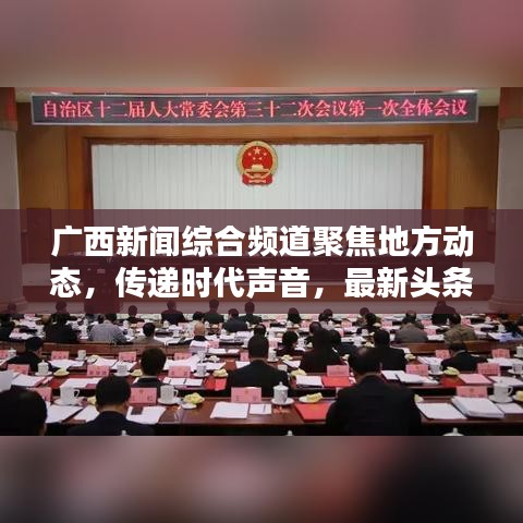 广西新闻综合频道聚焦地方动态，传递时代声音，最新头条报道