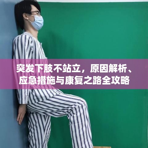 突发下肢不站立，原因解析、应急措施与康复之路全攻略