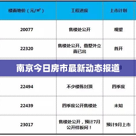 南京今日房市最新动态报道