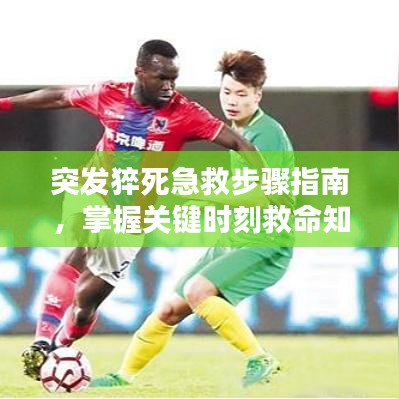 突发猝死急救步骤指南，掌握关键时刻救命知识