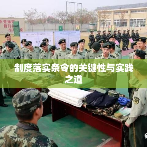 制度落实条令的关键性与实践之道