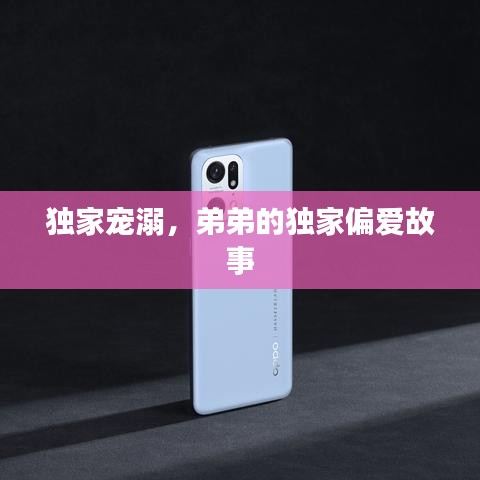 独家宠溺，弟弟的独家偏爱故事