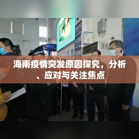海南疫情突发原因探究，分析、应对与关注焦点
