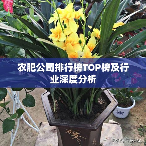农肥公司排行榜TOP榜及行业深度分析