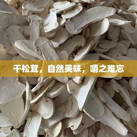 干松茸，自然美味，嚼之难忘