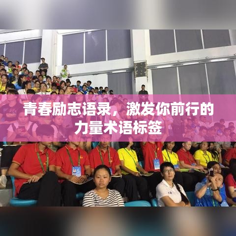 青春励志语录，激发你前行的力量术语标签