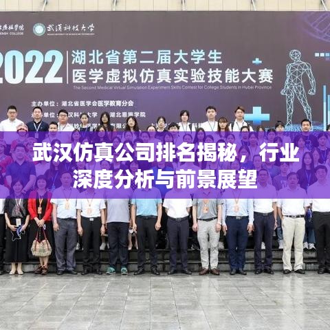 武汉仿真公司排名揭秘，行业深度分析与前景展望