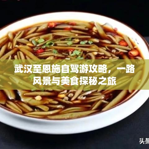 武汉至恩施自驾游攻略，一路风景与美食探秘之旅