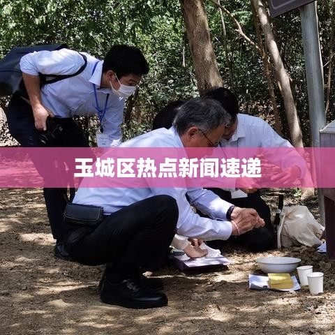 玉城区热点新闻速递