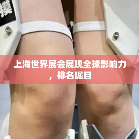 上海世界展会展现全球影响力，排名瞩目