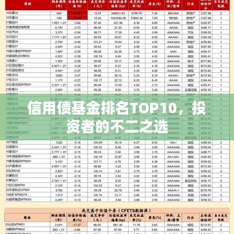 信用债基金排名TOP10，投资者的不二之选