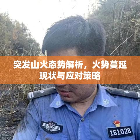 突发山火态势解析，火势蔓延现状与应对策略
