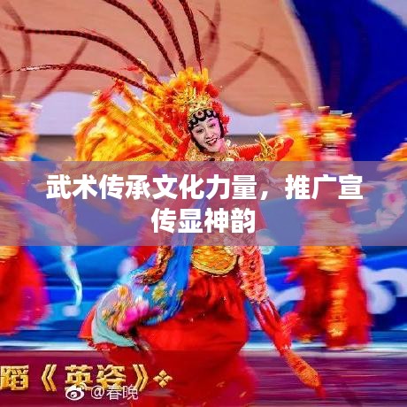 武术传承文化力量，推广宣传显神韵
