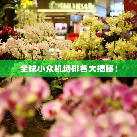 全球小众机场排名大揭秘！