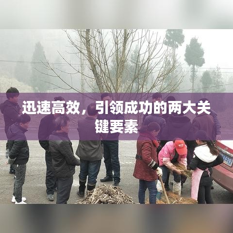 迅速高效，引领成功的两大关键要素