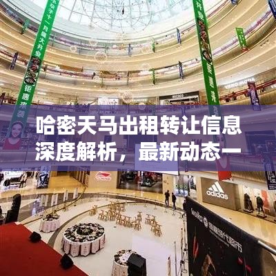 哈密天马出租转让信息深度解析，最新动态一网打尽