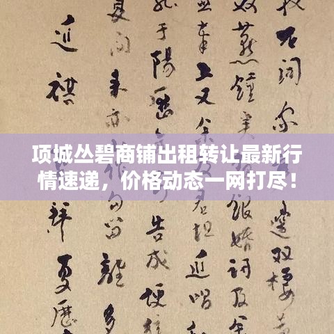 项城丛碧商铺出租转让最新行情速递，价格动态一网打尽！