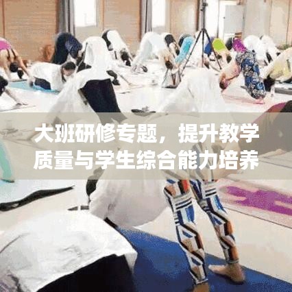 大班研修专题，提升教学质量与学生综合能力培养策略