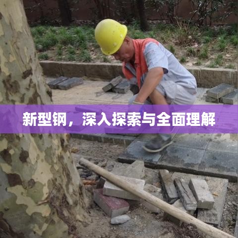 新型钢，深入探索与全面理解