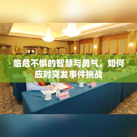 临危不惧的智慧与勇气，如何应对突发事件挑战