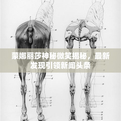 蒙娜丽莎神秘微笑揭秘，最新发现引领新闻头条