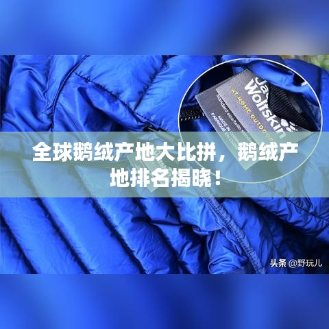 全球鹅绒产地大比拼，鹅绒产地排名揭晓！