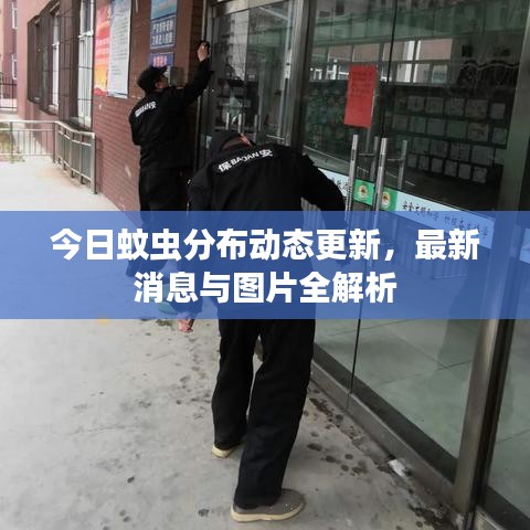今日蚊虫分布动态更新，最新消息与图片全解析