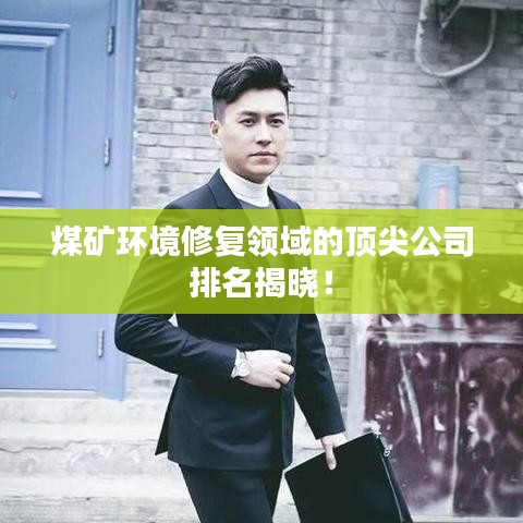煤矿环境修复领域的顶尖公司排名揭晓！