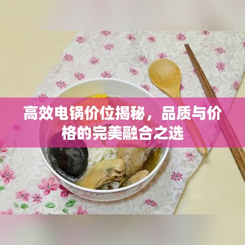 高效电锅价位揭秘，品质与价格的完美融合之选