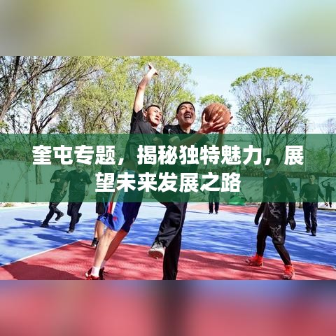 奎屯专题，揭秘独特魅力，展望未来发展之路