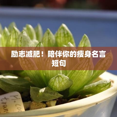 励志减肥！陪伴你的瘦身名言短句